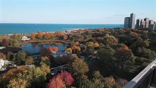 Fall colors in Lincoln Park, Chicago  4K
