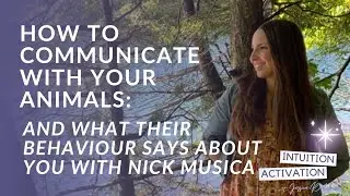 82. How to Communicate with Your Animals: And What Their Behaviour Says About YOU with Nick Musica