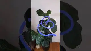 Meta Spark AR Studio - Filter Effects for Instagram ✨ #sparkar #filters #augmentedreality