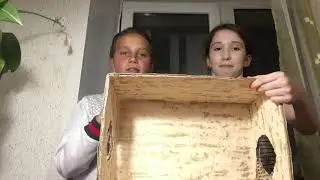 Нарезка смешных моментов за последнее видео/что в коробке