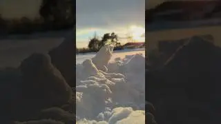 Моя семья - моя родина 