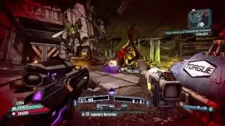 Super Duper Fly from Vermi - Borderlands 2