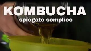 Kombucha fatto in casa: come si prepara il tè fermentato cinese
