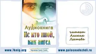 Аудиокнига 