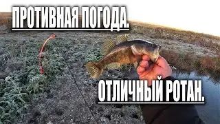 Рыбалка на отличного ротана промозглой осенью. РОТАН КРАСАВЕЦ !