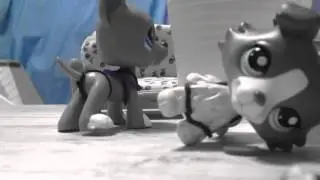 LPS MV I Hate You I Love You (Stop Motion)