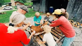 At Home Pig Butchering | Pork for 2020