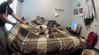 Hes not going to move