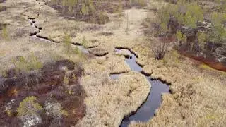 Край тишины не для всех