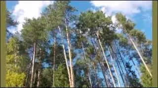 Край рябиновый