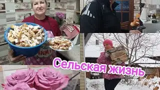 Работа кипит! Наварила Борща. ХВОРОСТ - проще некуда.