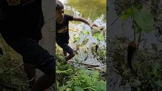 Bottle fishing|#shorts