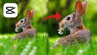 Como dar ZOOM no CapCut (e ZOOM ANIMADO no CapCut)