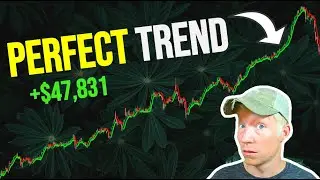 The BEST Moving Average Strategy - SECRET Indicator