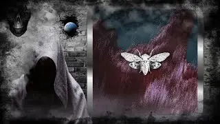 Daivic – Frenesi (Original Mix) [Ciccada]