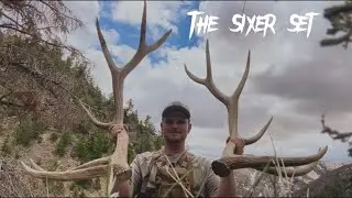 2023 BROWN ELK SHEDS