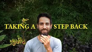 My thoughts on Youtube and mental health as an aspiring photographer