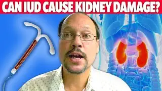 lntrauterine Device (IUD) And Kidney Disease? Is It Safe?