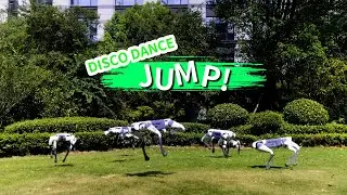 Silly Robot Dog Jump
