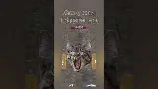 не засмейся а то подпишишся 