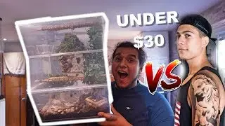 Building A Dollar Store Crested Gecko Enclosure !! Competition VS ER Bros 🦎🦎🦎