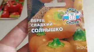 ОБЗОР СЕМЯН ТОМАТОВ НА 2024