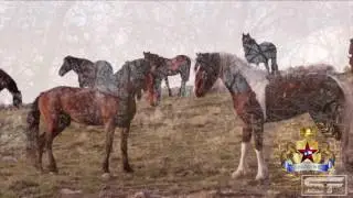 MISTER LOS VAQUEROS  TEXANOS USA