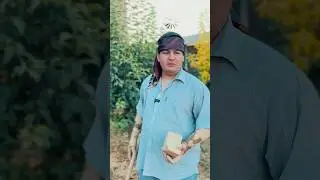 Minnatchi xotin