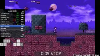 Pekka Kana 2 - Rooster Island 1 Speedrun in 12:07