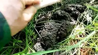 Патрульный выход на ул.Дачная - 26, июнь 2024 г.