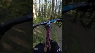 Dream Jump Line
