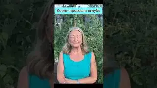 Элен Этель собирает сено в русской деревне.#сенокос#полевыеработы#ягоды#колодец#русскаясемья#деревня