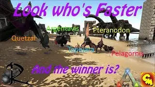 Ark Vanilla  Which Flyer is Faster-- QUETZAL , TAPEJARA, ARGENTAVIS, PTERANODON an the PELAGORNIS