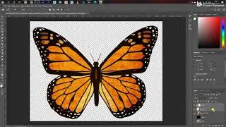 How to fly Butterfly in After Effects I After Effects Tutorial I Technical Sarower