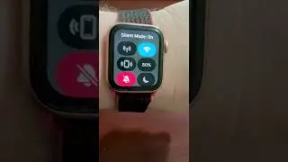 HOW TO MAKE THE APPLE WATCH SILENT!!!