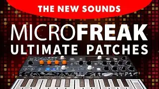 ARTURIA MICROFREAK | ULTIMATE PATCHES | The 333 NEW Next-Level Synth Sounds / Presets!