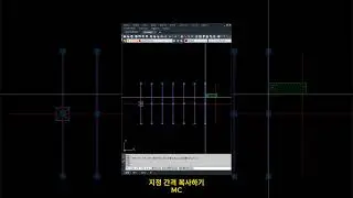 지정 거리만큼 간격 복사하기 #lisp #한번에 #한번에 #쉽게 #수량 #COPY #자동