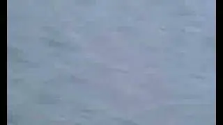 sko(lier-tv 5)