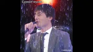 хусейни шарифи