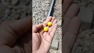 Train 🚂 Vs Tutti Frutti Bubble Gum 🟣 #ytshorts #shorts #viral #train #BubbleGum #gujranwalaskill