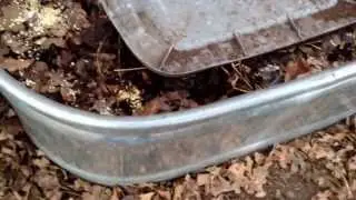 Winter worm farm operation