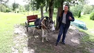 Как Ньютон Ишак законь Ньютона открываль