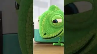 Hide and Seek Against a Chameleon?! #LucastheSpider