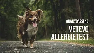 Vetevo Allergietest für den Hund [DailyGassi #46]