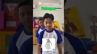 Quiz Name of Bone #scienceclasswithmsmira
