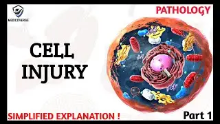 Cell Injury Pathology | Reversible and Irreversible Cell Injury | Part 1