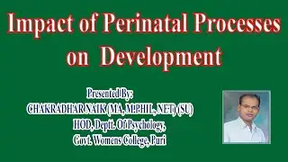 IMPACT OF PERINATAL PROCESS ON DEVELOPMENT