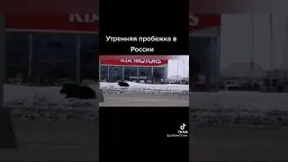 Утренняя пробежка в Америке и в России