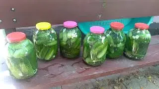 огурцы на зиму закрыли