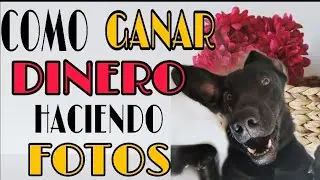 Como ganar dinero haciendo fotos 2020